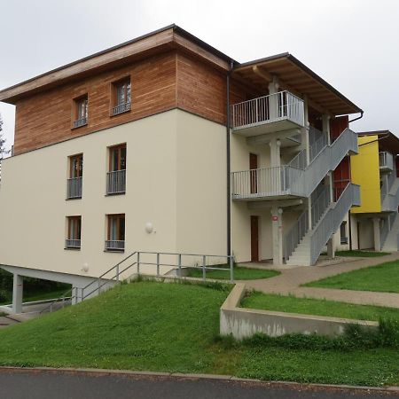 Family Apartment Lipno Lake Lipno nad Vltavou Exteriör bild