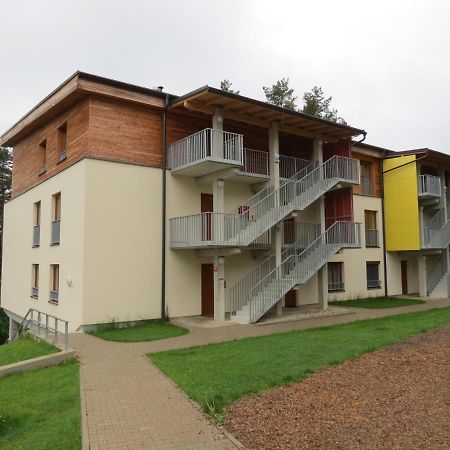 Family Apartment Lipno Lake Lipno nad Vltavou Exteriör bild